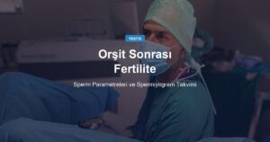 Testis İltihabı Sonrası Fertilite: Sperm Parametreleri Ne Zaman Düzelir?