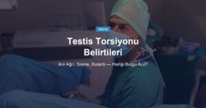 Testis Torsiyonu Belirtileri: Ani Ağrı, Şişme, Bulantı — Hangi Bulgu Acil Servis?