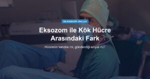 Eksozom ile Kök Hücre Tedavisi Arasındaki Fark Nedir?
