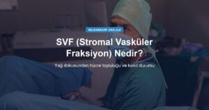 SVF (Stromal Vasküler Fraksiyon) Nedir, Nasıl Uygulanır, Kanıt Durumu Ne?