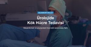 Ürolojide Kök Hücre Tedavisi Nedir? Mezenkimal ve Pluripotent Hücreler Arasındaki Fark